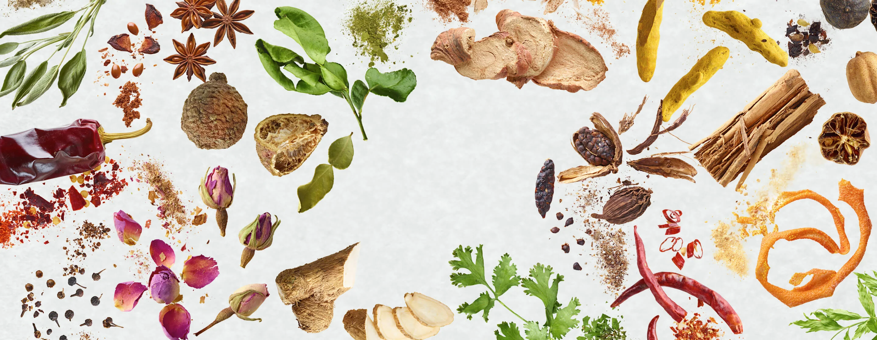 Elevate Every Dish with Artistry
